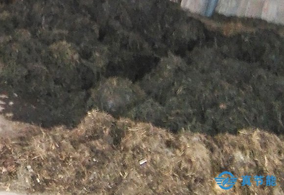 污泥干化處理設備